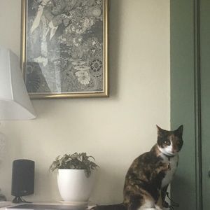 Meet your Posher, Alena